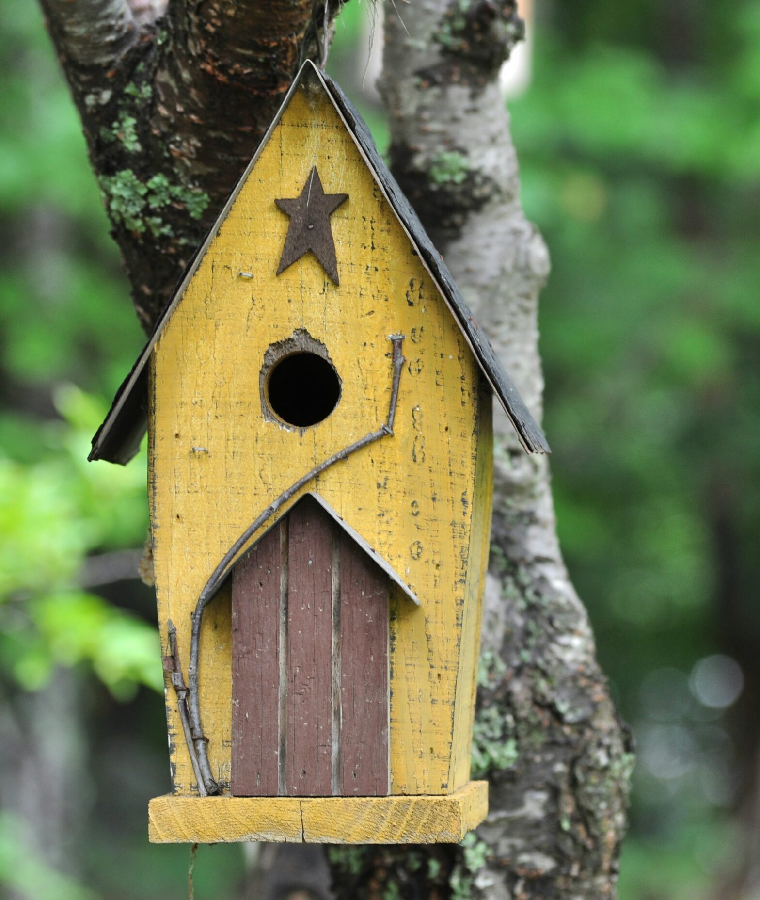 bright yellow bird house